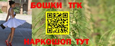 стаф Будённовск